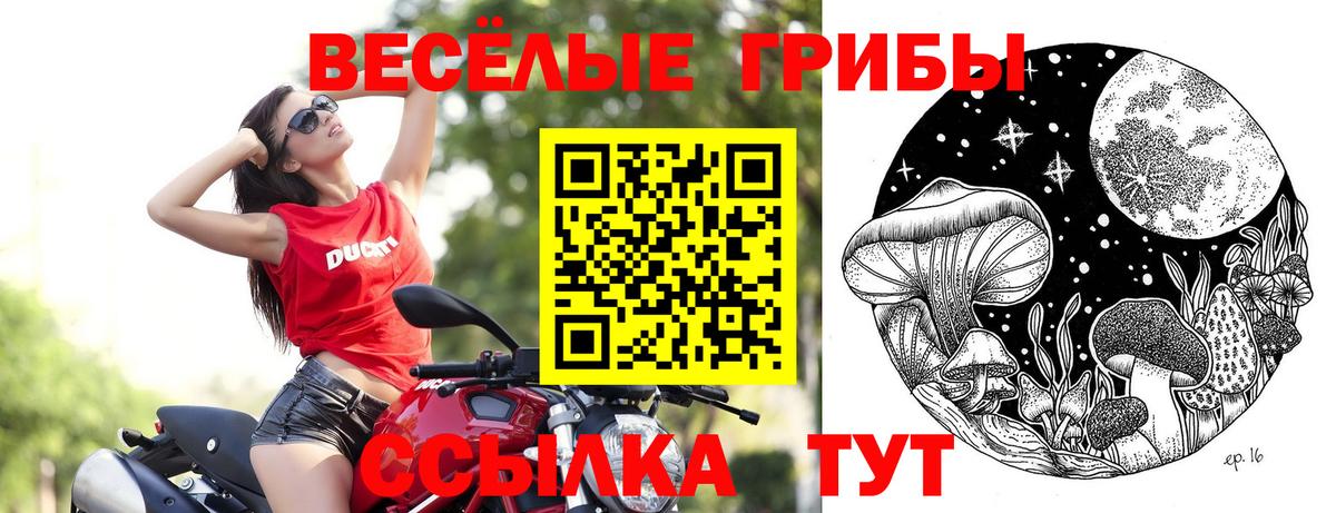 Псилоцибиновые грибы прущие грибы  Псилоцибиновые грибы Magic Shrooms  Вход с VPN  Пыть-Ях 